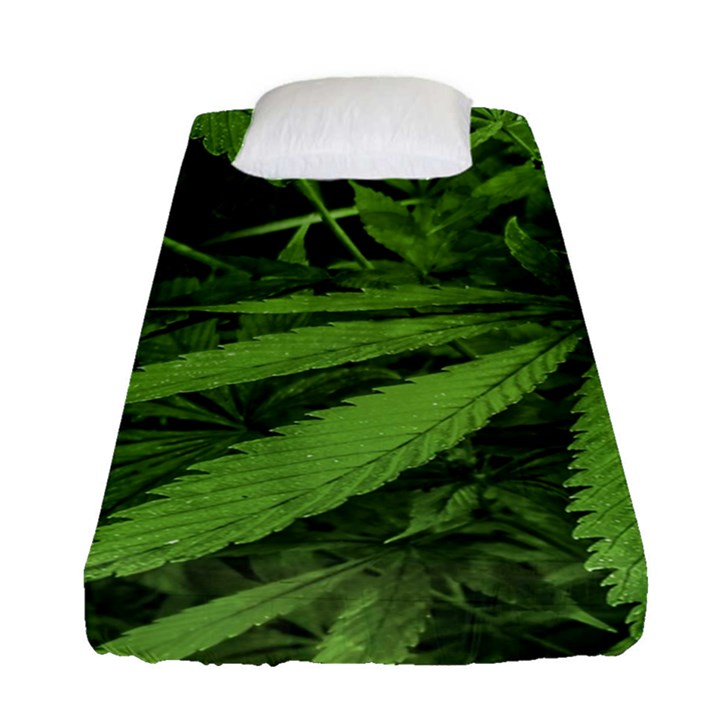 Marijuana Plants Pattern Fitted Sheet (Single Size)