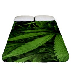 Marijuana Plants Pattern Fitted Sheet (queen Size) by dflcprints