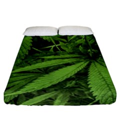 Marijuana Plants Pattern Fitted Sheet (california King Size) by dflcprints