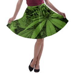 Marijuana Plants Pattern A-line Skater Skirt by dflcprints