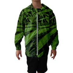 Marijuana Plants Pattern Hooded Wind Breaker (kids) by dflcprints