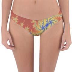 Fractals Reversible Hipster Bikini Bottoms by NouveauDesign