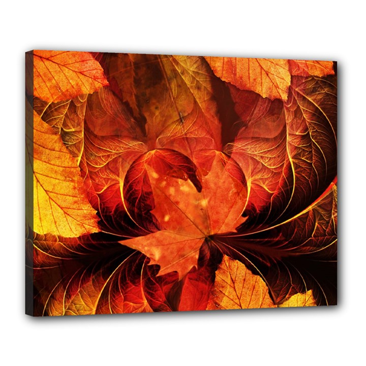 Ablaze With Beautiful Fractal Fall Colors Canvas 20  x 16 