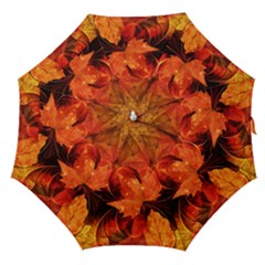 Ablaze With Beautiful Fractal Fall Colors Straight Umbrellas by jayaprime