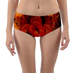 Ablaze With Beautiful Fractal Fall Colors Reversible Mid-waist Bikini Bottoms by jayaprime