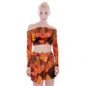 Ablaze With Beautiful Fractal Fall Colors Off Shoulder Top with Mini Skirt Set View1