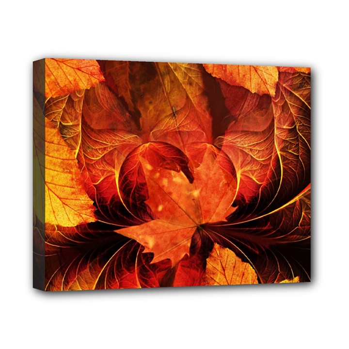 Ablaze With Beautiful Fractal Fall Colors Canvas 10  x 8 