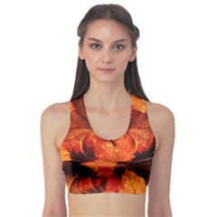 Ablaze With Beautiful Fractal Fall Colors Sports Bra by jayaprime