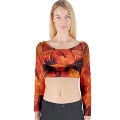 Ablaze With Beautiful Fractal Fall Colors Long Sleeve Crop Top by jayaprime