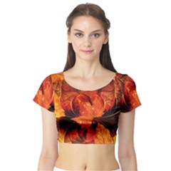 Ablaze With Beautiful Fractal Fall Colors Short Sleeve Crop Top by jayaprime