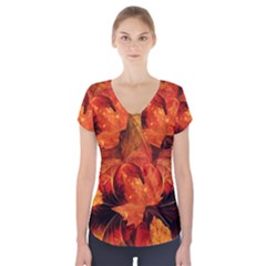 Ablaze With Beautiful Fractal Fall Colors Short Sleeve Front Detail Top by jayaprime