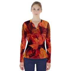 Ablaze With Beautiful Fractal Fall Colors V-neck Long Sleeve Top