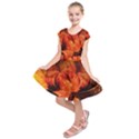 Ablaze With Beautiful Fractal Fall Colors Kids  Short Sleeve Dress View1