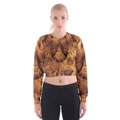 Beautiful Gold And Brown Honeycomb Fractal Beehive Cropped Sweatshirt by jayaprime