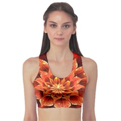 Beautiful Ruby Red Dahlia Fractal Lotus Flower Sports Bra by jayaprime