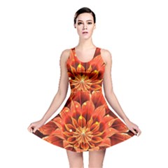 Beautiful Ruby Red Dahlia Fractal Lotus Flower Reversible Skater Dress by jayaprime