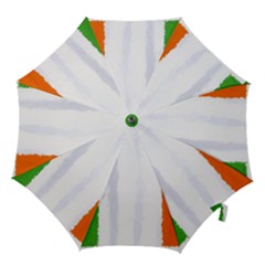 Flag Ireland, Banner Watercolor Painting Art Hook Handle Umbrellas (small) by picsaspassion