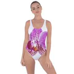 Lilac Phalaenopsis Aquarel  Watercolor Art Painting Bring Sexy Back Swimsuit by picsaspassion