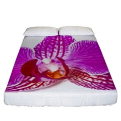 Lilac Phalaenopsis Flower, Floral Oil Painting Art Fitted Sheet (king Size) by picsaspassion