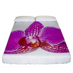 Lilac Phalaenopsis Flower, Floral Oil Painting Art Fitted Sheet (california King Size) by picsaspassion