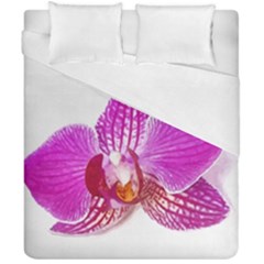 Lilac Phalaenopsis Flower, Floral Oil Painting Art Duvet Cover Double Side (california King Size) by picsaspassion