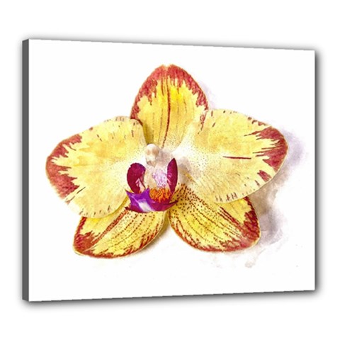 Yellow Phalaenopsis Flower, Floral Aquarel Watercolor Painting Art Canvas 24  X 20  by picsaspassion