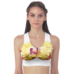 Yellow Phalaenopsis Flower, Floral Aquarel Watercolor Painting Art Sports Bra by picsaspassion