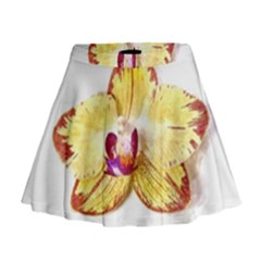 Yellow Phalaenopsis Flower, Floral Aquarel Watercolor Painting Art Mini Flare Skirt by picsaspassion