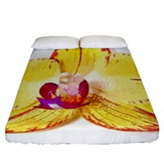 Phalaenopsis Yellow Flower, Floral Oil Painting Art Fitted Sheet (queen Size) by picsaspassion