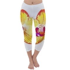 Phalaenopsis Yellow Flower, Floral Oil Painting Art Capri Winter Leggings  by picsaspassion