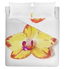 Phalaenopsis Yellow Flower, Floral Oil Painting Art Duvet Cover Double Side (queen Size) by picsaspassion