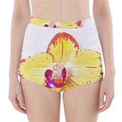 Phalaenopsis Yellow Flower, Floral Oil Painting Art High-waisted Bikini Bottoms by picsaspassion