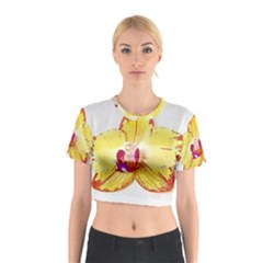 Phalaenopsis Yellow Flower, Floral Oil Painting Art Cotton Crop Top by picsaspassion