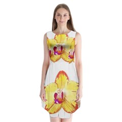 Phalaenopsis Yellow Flower, Floral Oil Painting Art Sleeveless Chiffon Dress  