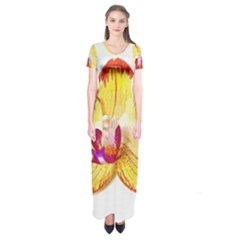 Phalaenopsis Yellow Flower, Floral Oil Painting Art Short Sleeve Maxi Dress by picsaspassion