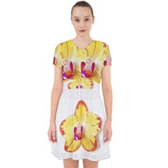 Phalaenopsis Yellow Flower, Floral Oil Painting Art Adorable In Chiffon Dress