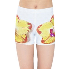 Phalaenopsis Yellow Flower, Floral Oil Painting Art Kids Sports Shorts by picsaspassion