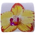 Phalaenopsis Yellow flower, floral oil painting art Back Support Cushion View1