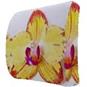 Phalaenopsis Yellow flower, floral oil painting art Back Support Cushion View3