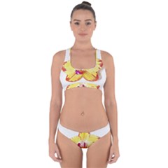 Phalaenopsis Yellow Flower, Floral Oil Painting Art Cross Back Hipster Bikini Set by picsaspassion