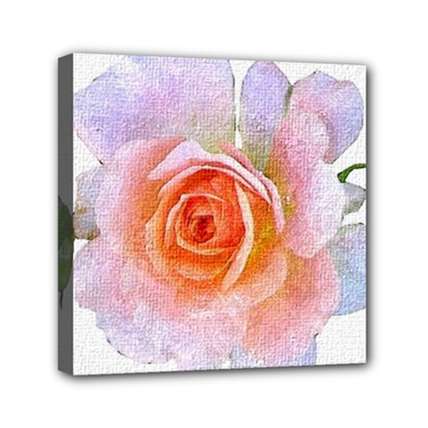 Pink Rose flower, floral oil painting art Mini Canvas 6  x 6 