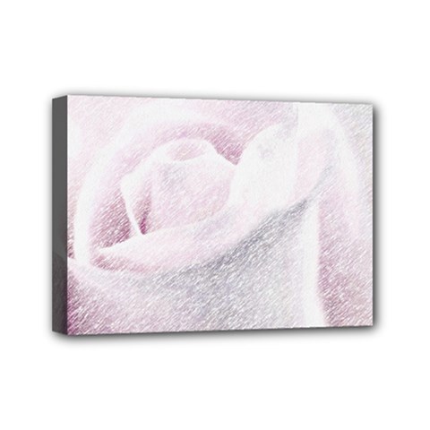 Rose Pink Flower  Floral Pencil Drawing Art Mini Canvas 7  X 5  by picsaspassion