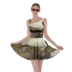 The Lonely Wolf On The Flying Rock Skater Dress by FantasyWorld7