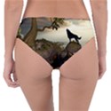 The Lonely Wolf On The Flying Rock Reversible Classic Bikini Bottoms View2