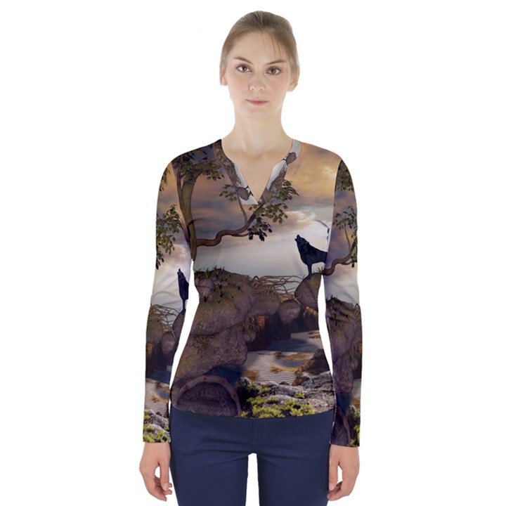 The Lonely Wolf On The Flying Rock V-Neck Long Sleeve Top