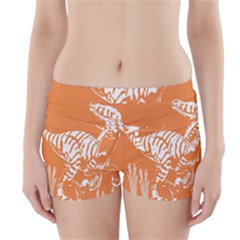 Animals Dinosaur Ancient Times Boyleg Bikini Wrap Bottoms by Mariart