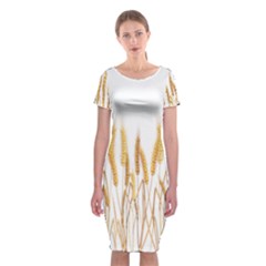 Wheat Plants Classic Short Sleeve Midi Dress