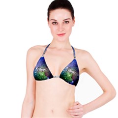 Wonderful Lion Silhouette On Dark Colorful Background Bikini Top by FantasyWorld7