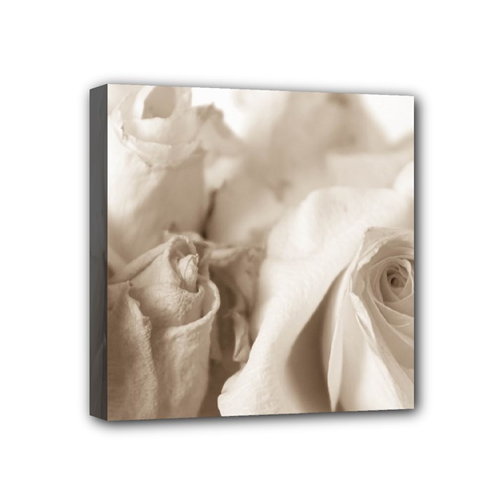 Vintage Rose Shabby Chic Background Mini Canvas 4  x 4 