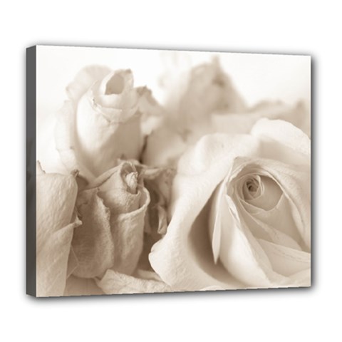 Vintage Rose Shabby Chic Background Deluxe Canvas 24  X 20   by Celenk